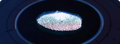 Image2